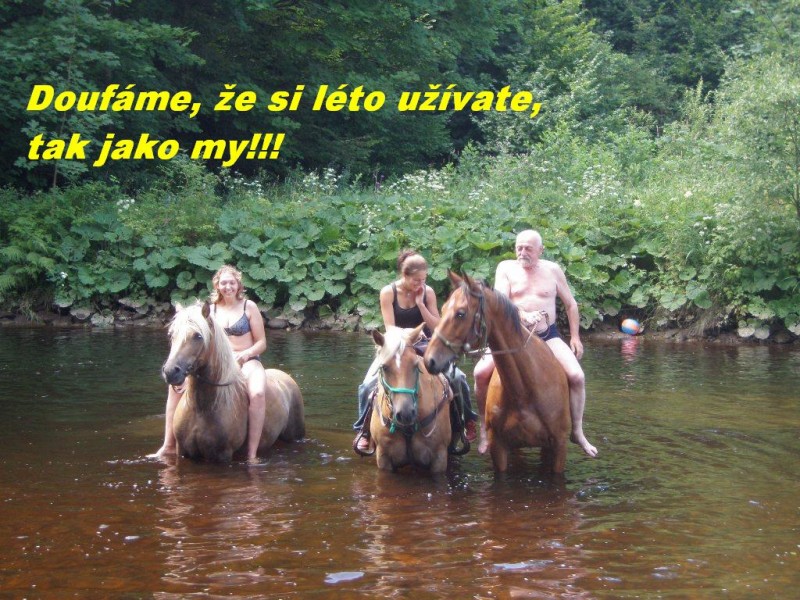 Léto 2010